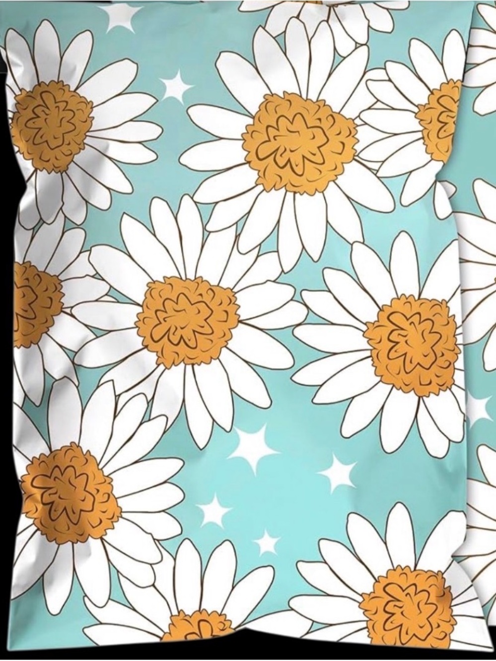 Poly Mailers 6x9 Set of 10